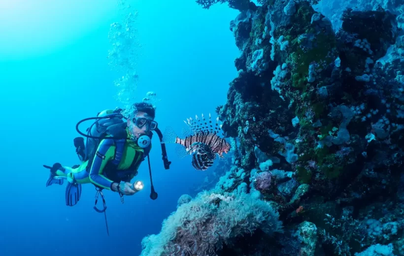 Unveiling Hurghada: City Sights & Shopping Delights (Half Day Tour)